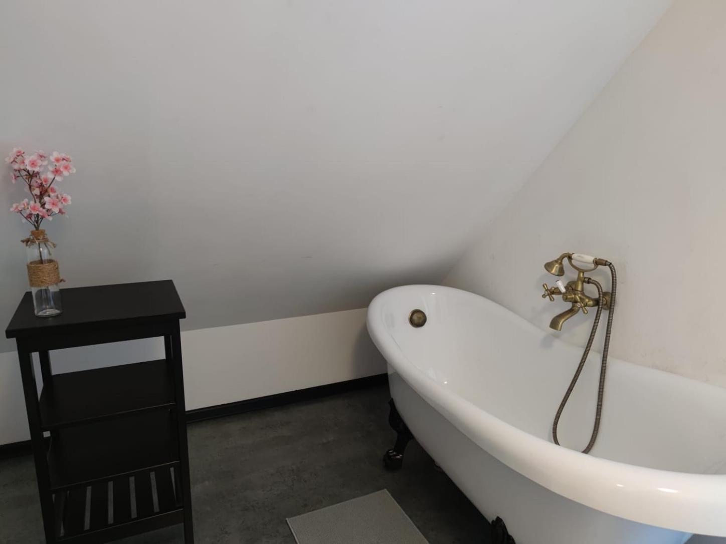 Apartment Silesia