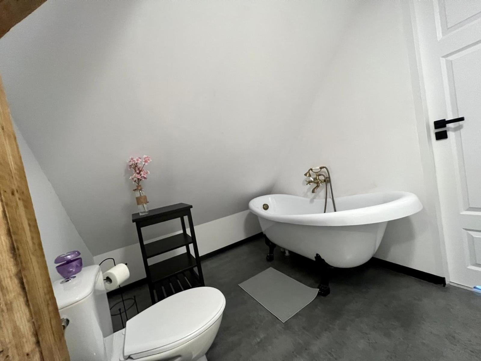 Apartment Silesia